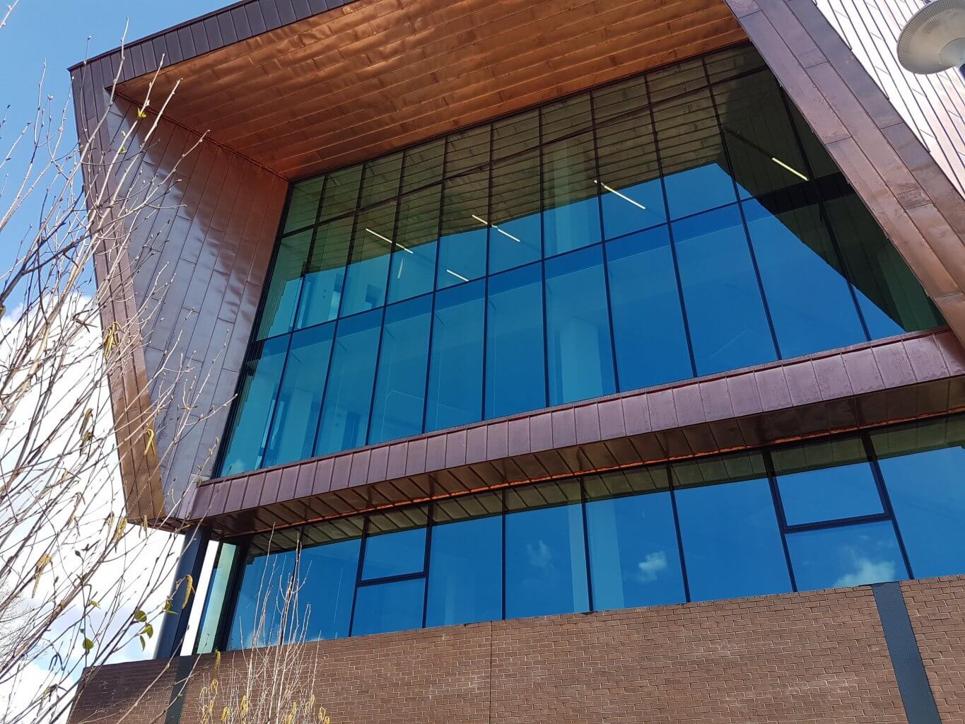 glucksman library